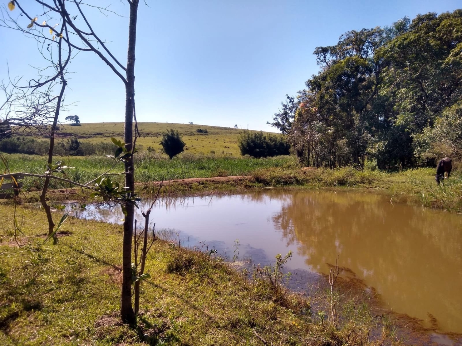 Chácara, 3 quartos, 1 hectares - Foto 43