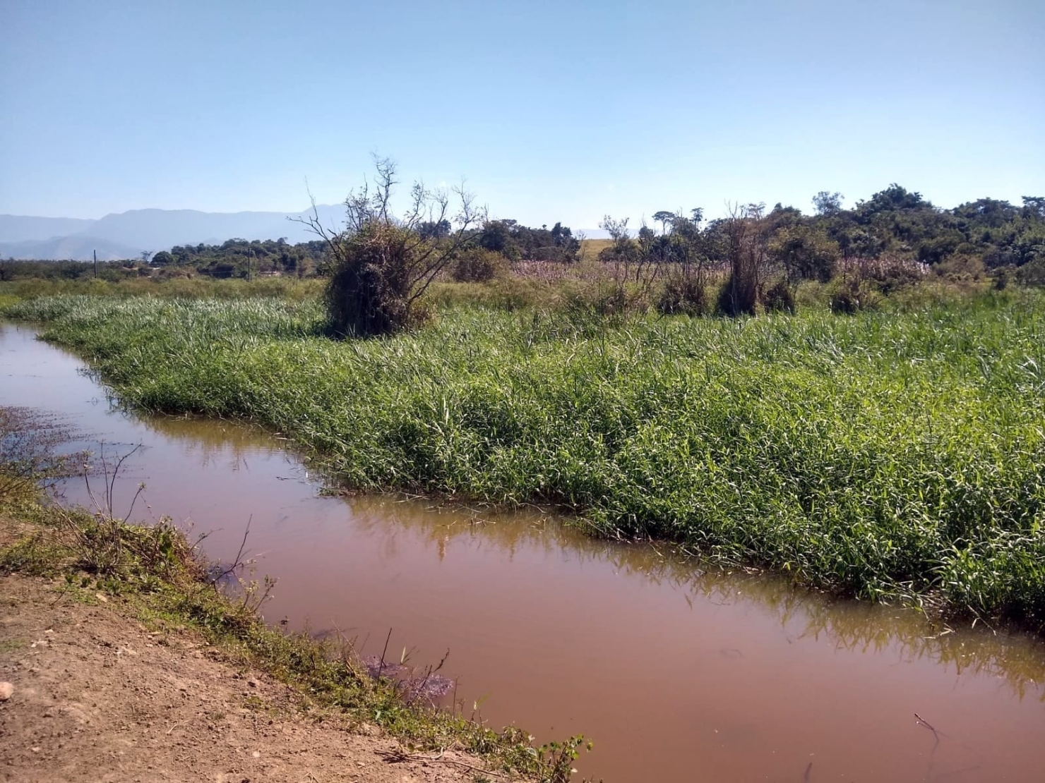 Chácara, 3 quartos, 1 hectares - Foto 44