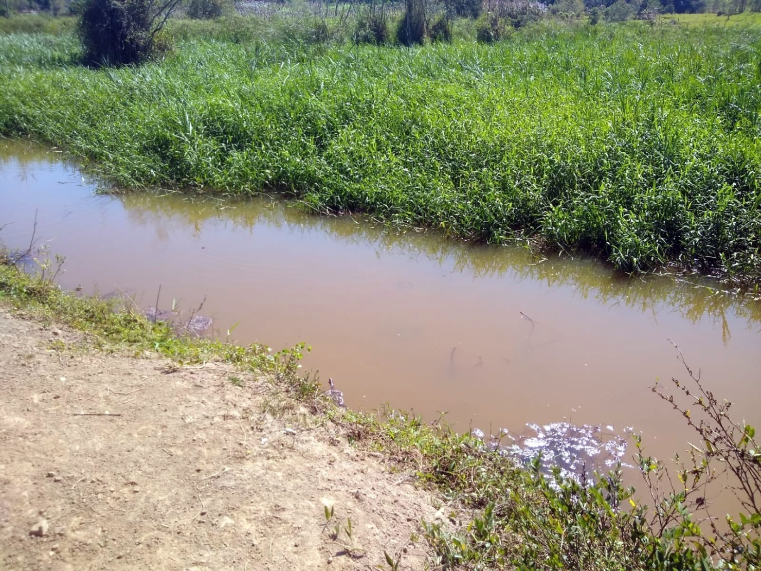Chácara, 3 quartos, 1 hectares - Foto 45