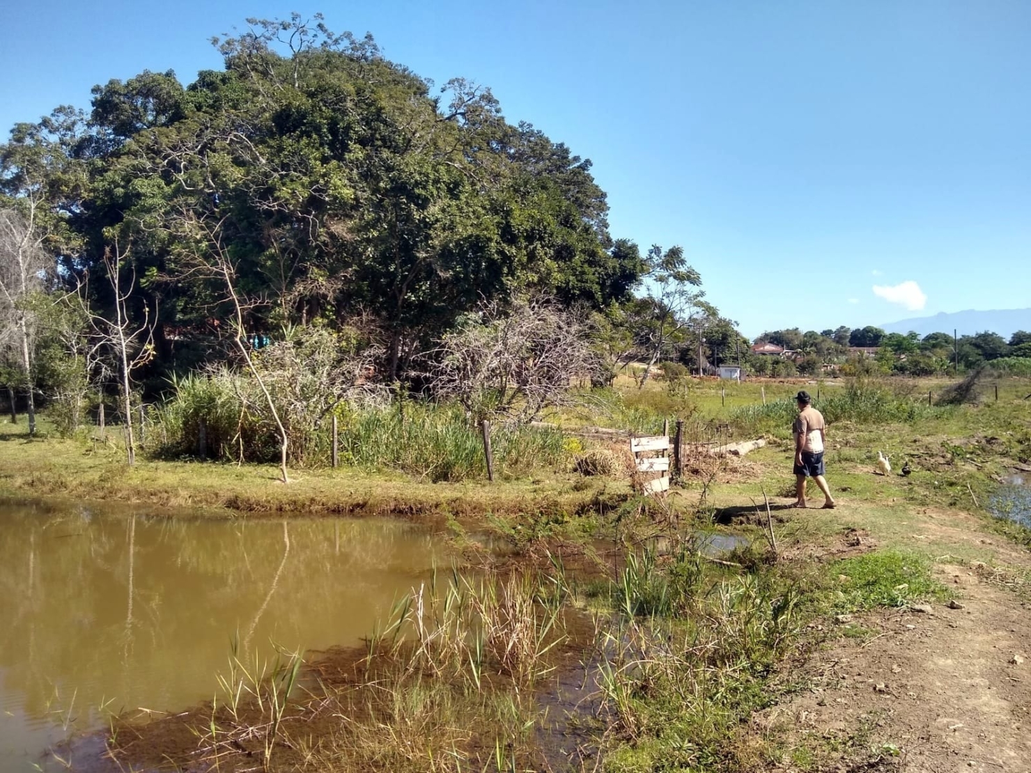Chácara, 3 quartos, 1 hectares - Foto 46