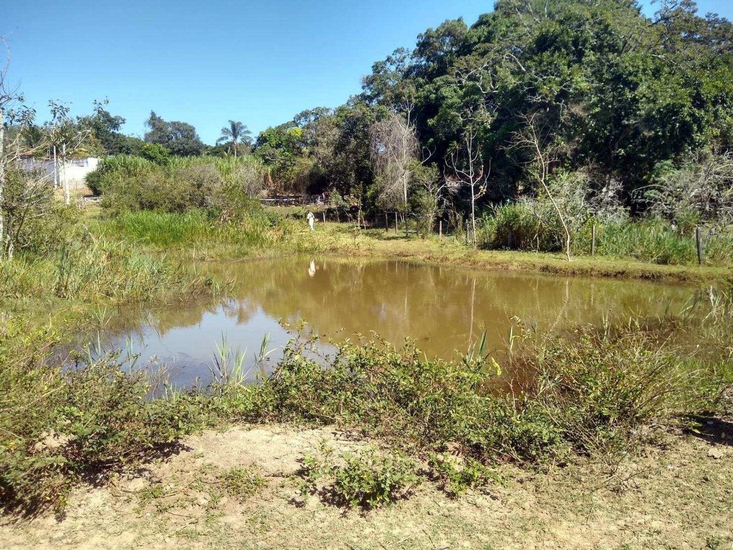Chácara, 3 quartos, 1 hectares - Foto 49