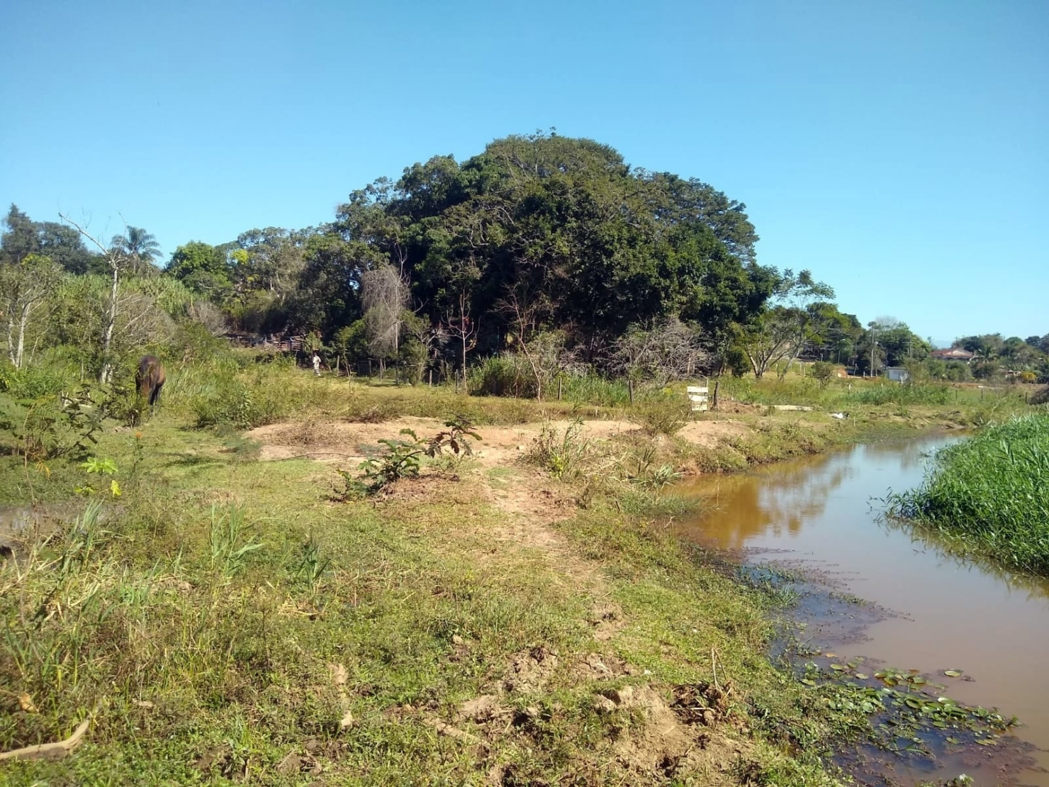 Chácara, 3 quartos, 1 hectares - Foto 50