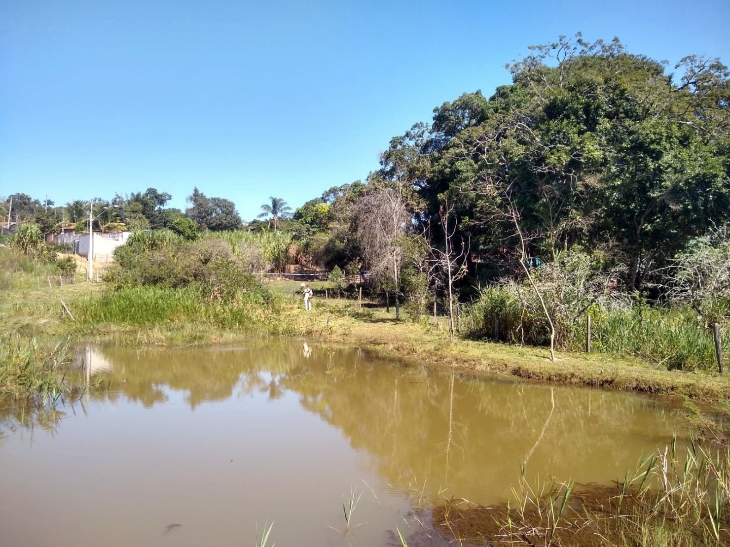 Terreno, 4000 m² - Foto 7