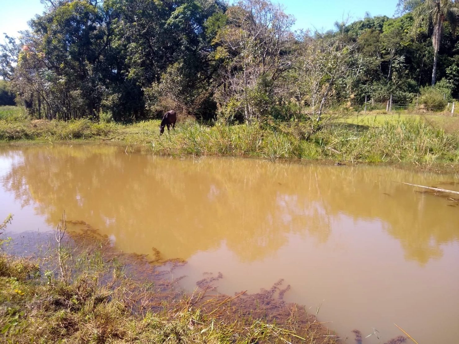 Terreno, 4000 m² - Foto 11