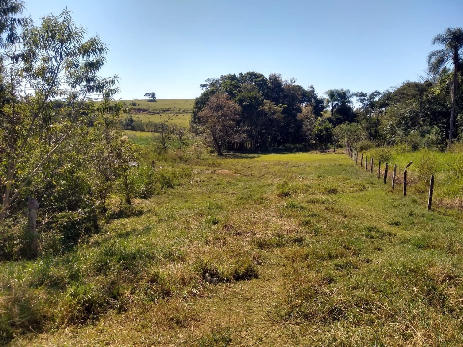 Terreno, 4000 m² - Foto 12