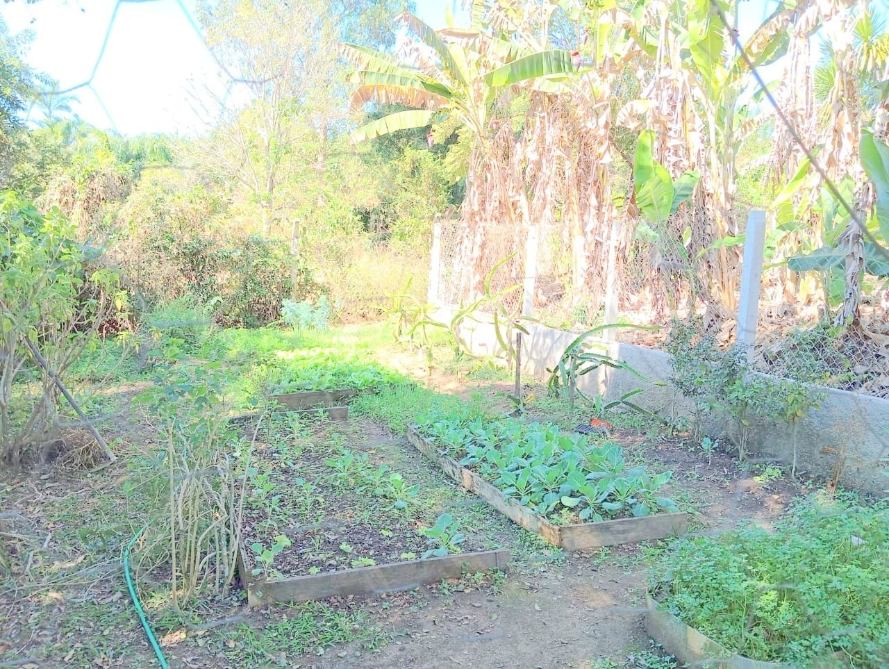 Sítio, 10 quartos, 4000 m² - Foto 19