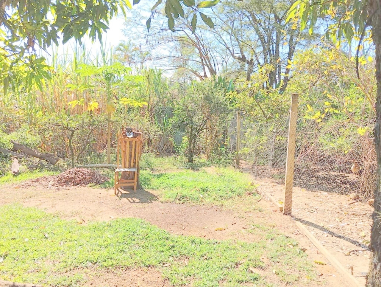 Sítio, 10 quartos, 4000 m² - Foto 21