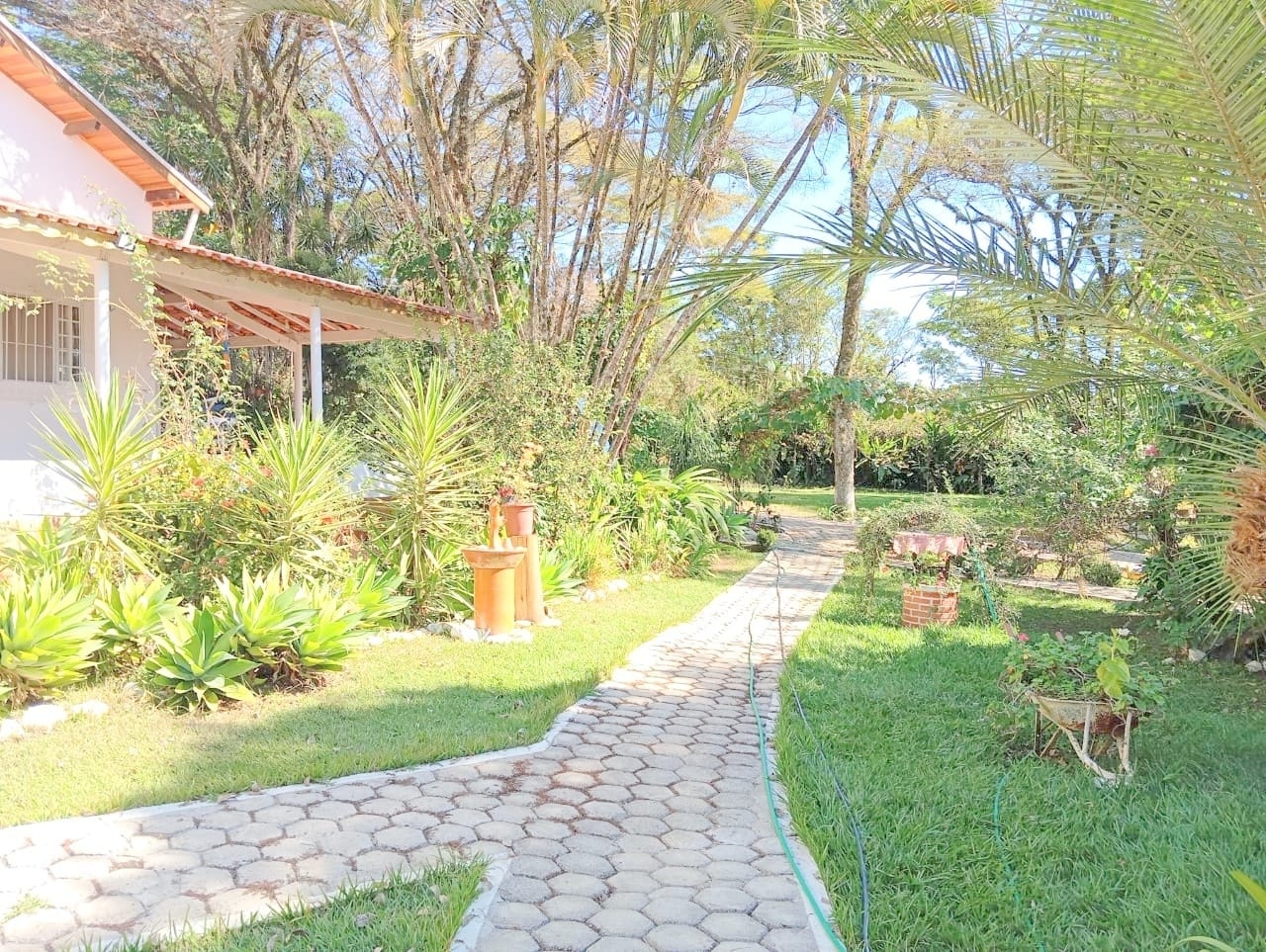 Sítio, 10 quartos, 4000 m² - Foto 29