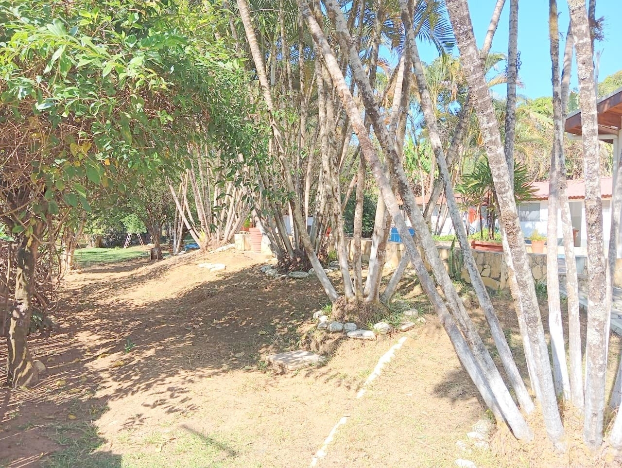 Sítio, 10 quartos, 4000 m² - Foto 32