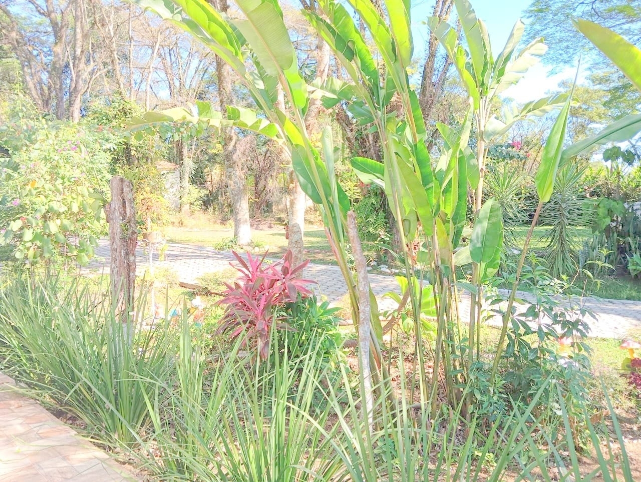 Sítio, 10 quartos, 4000 m² - Foto 41