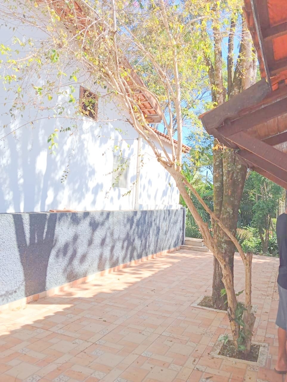 Sítio, 10 quartos, 4000 m² - Foto 42