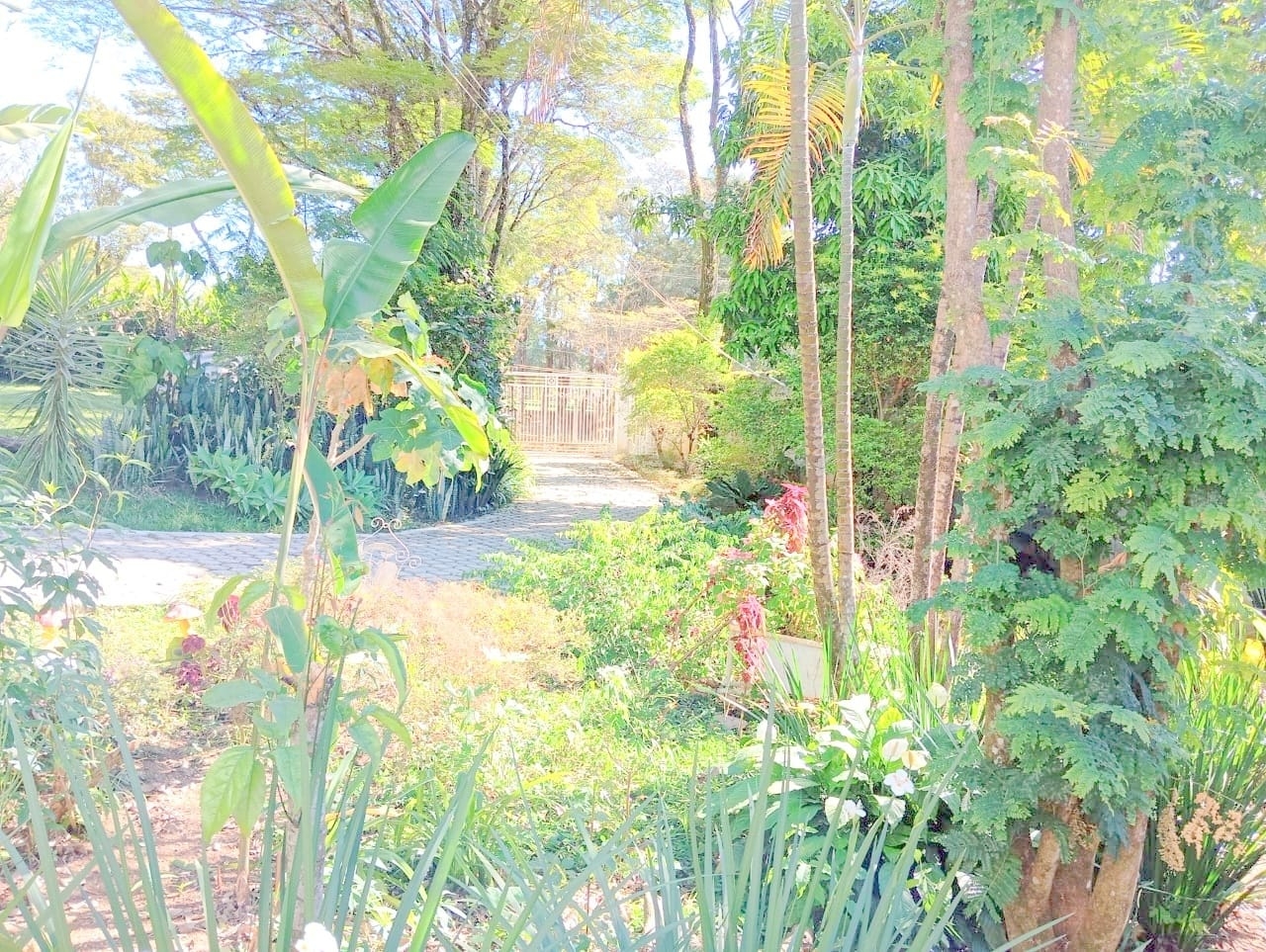 Sítio, 10 quartos, 4000 m² - Foto 43