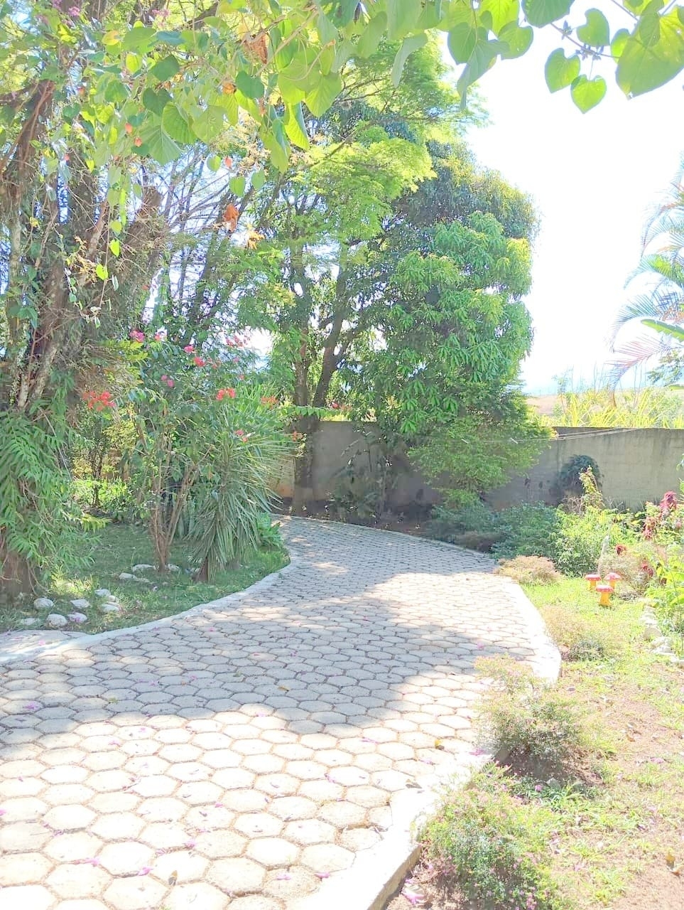 Sítio, 10 quartos, 4000 m² - Foto 44