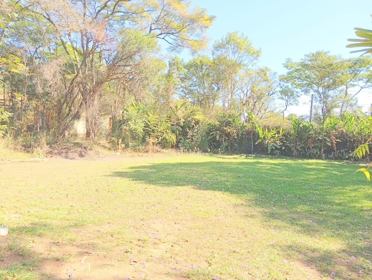 Sítio, 10 quartos, 4000 m² - Foto 45