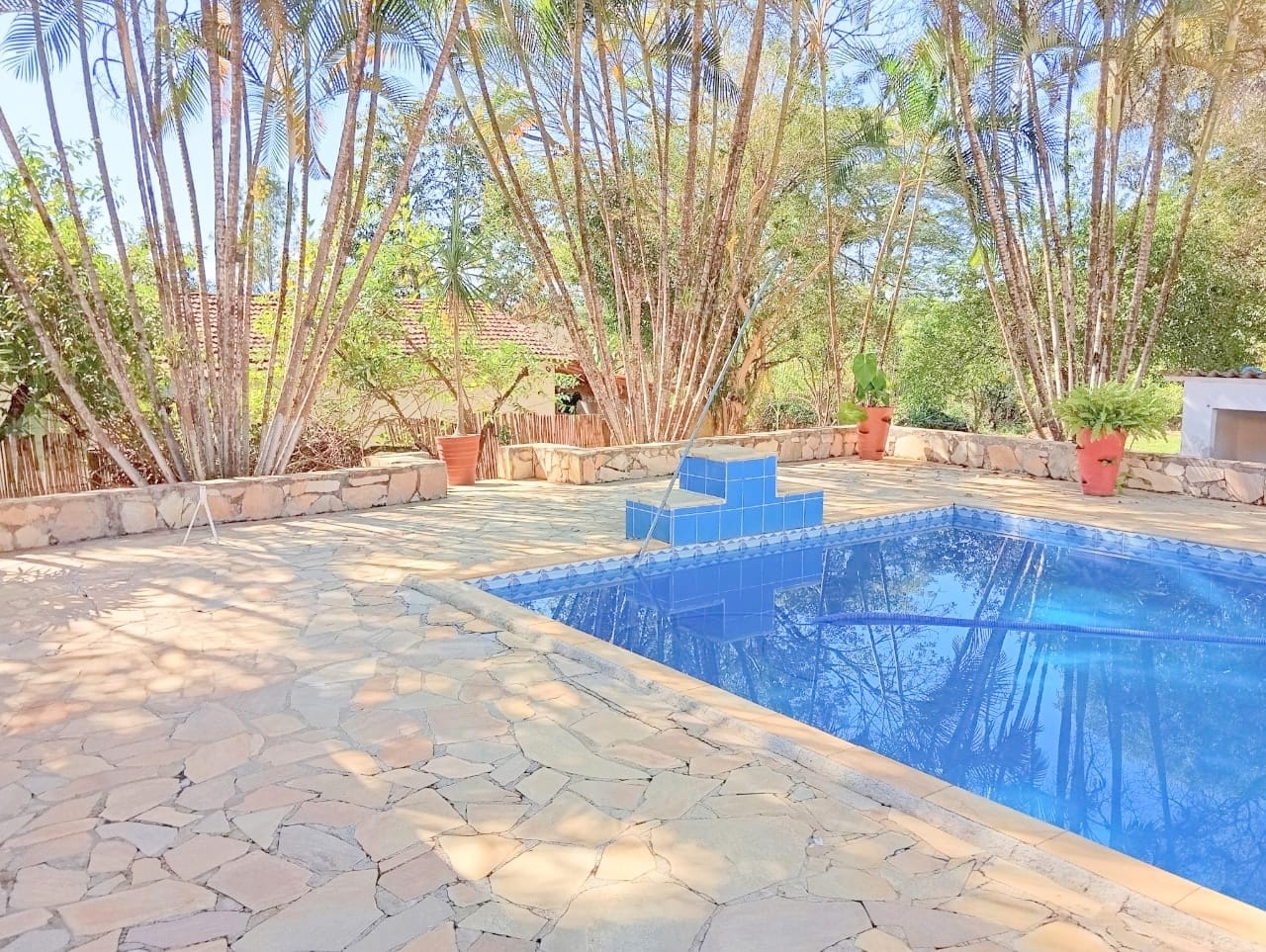 Sítio, 10 quartos, 4000 m² - Foto 50