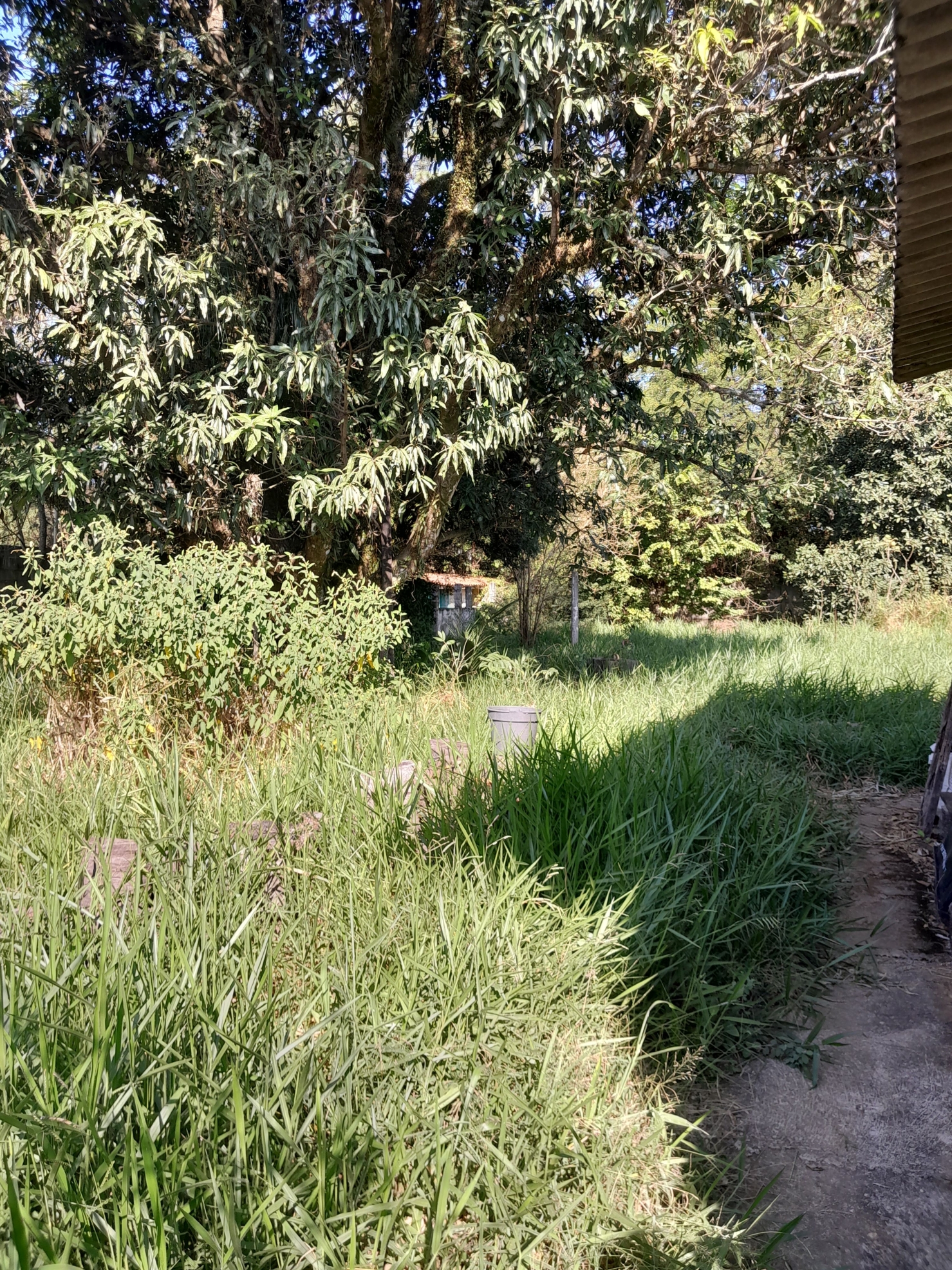 Chácara à venda com 3 quartos, 134m² - Foto 4