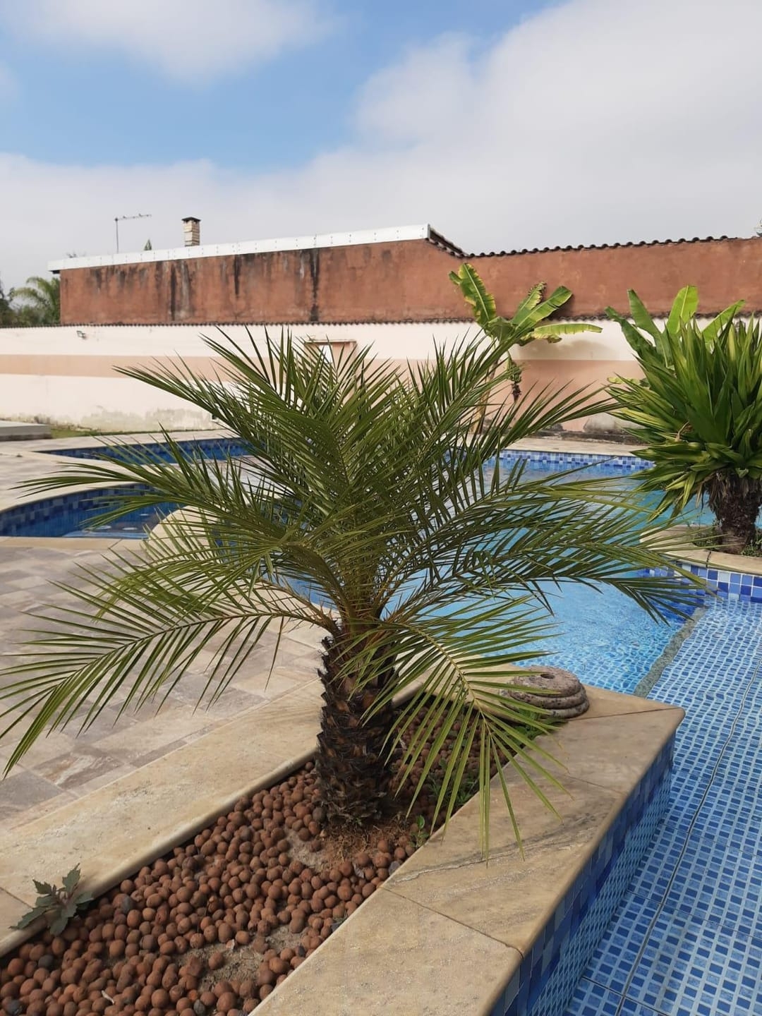 Chácara, 5 quartos, 550 m² - Foto 25