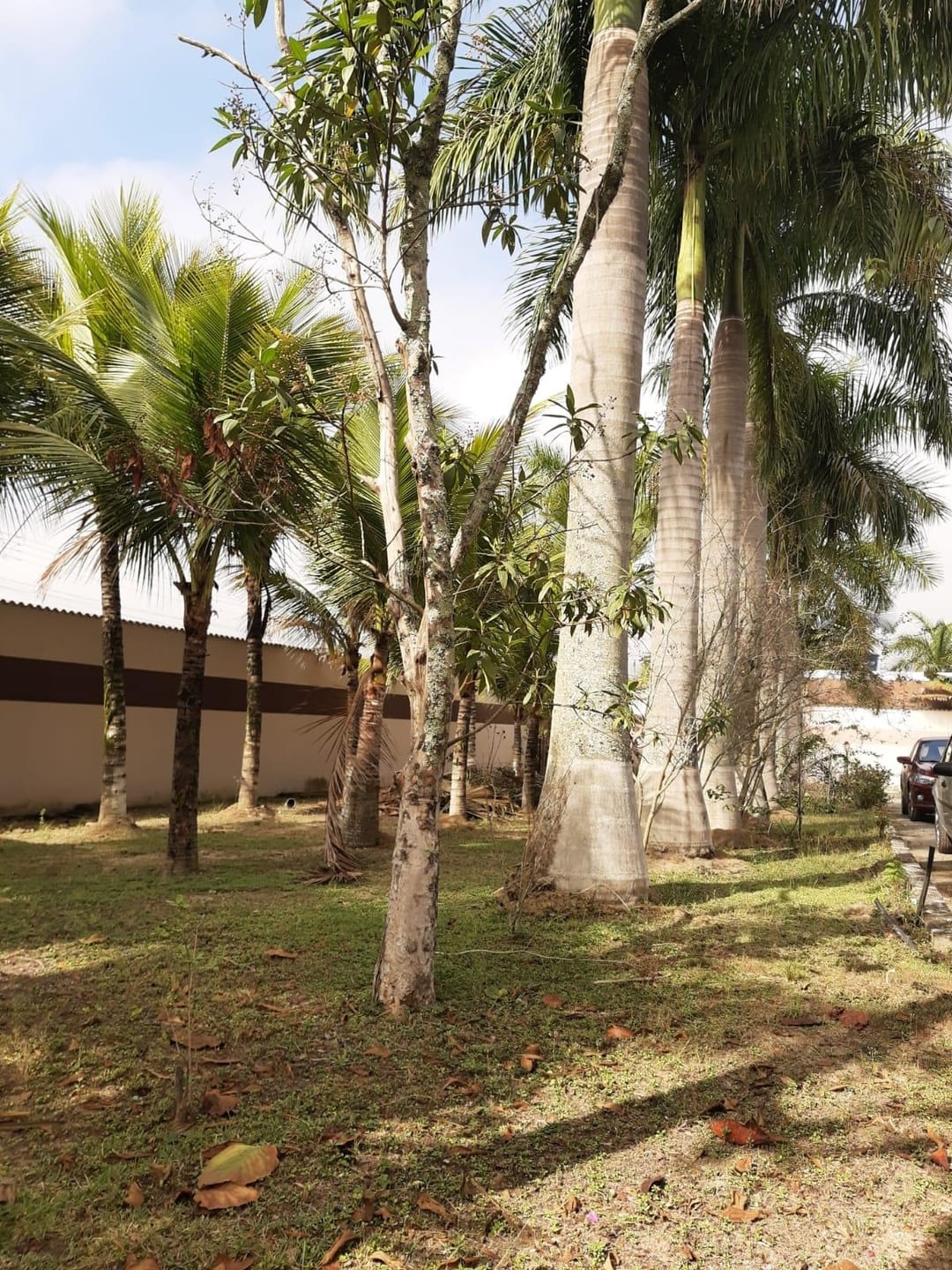 Chácara, 5 quartos, 550 m² - Foto 34