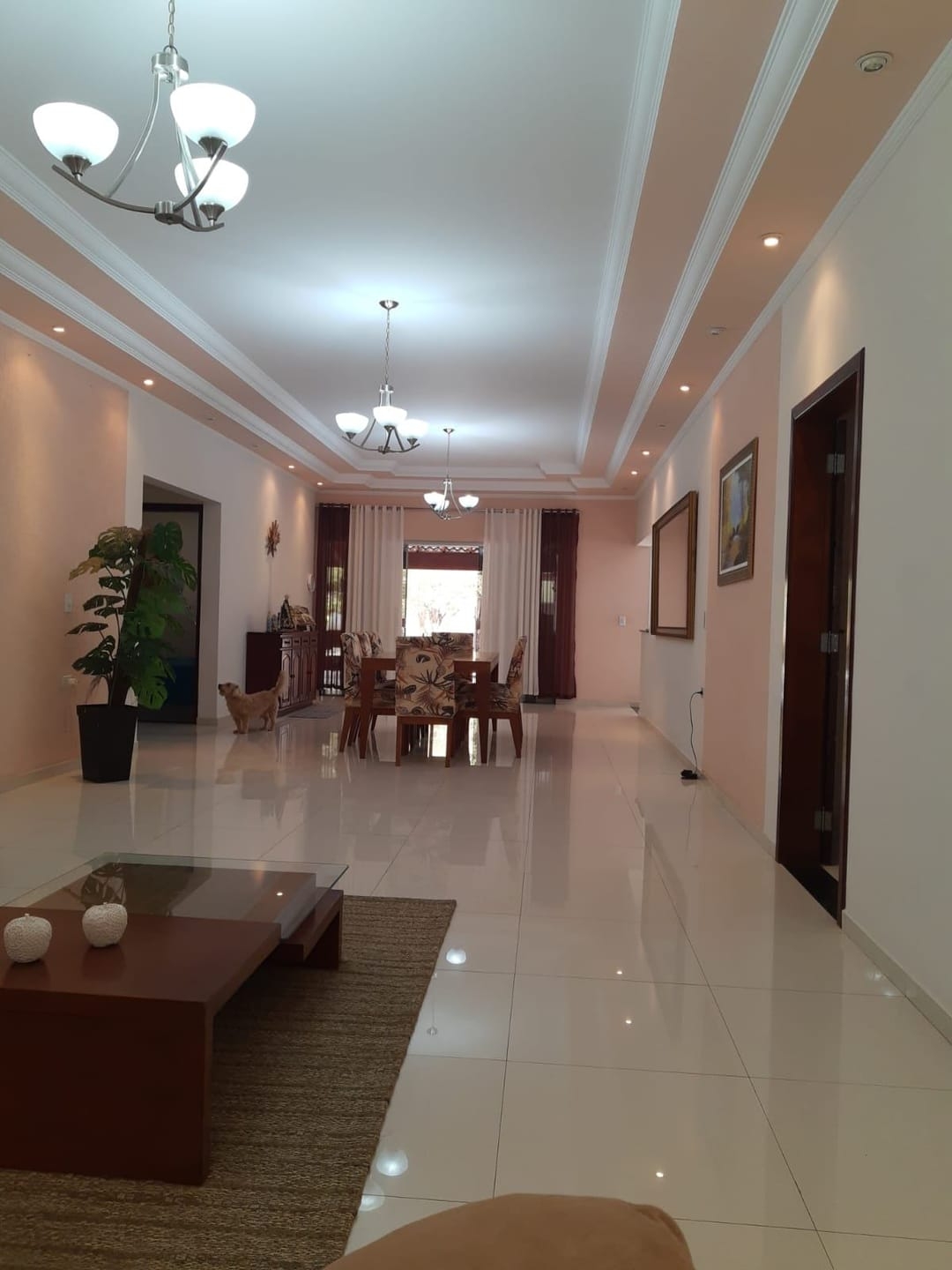 Chácara, 5 quartos, 550 m² - Foto 60