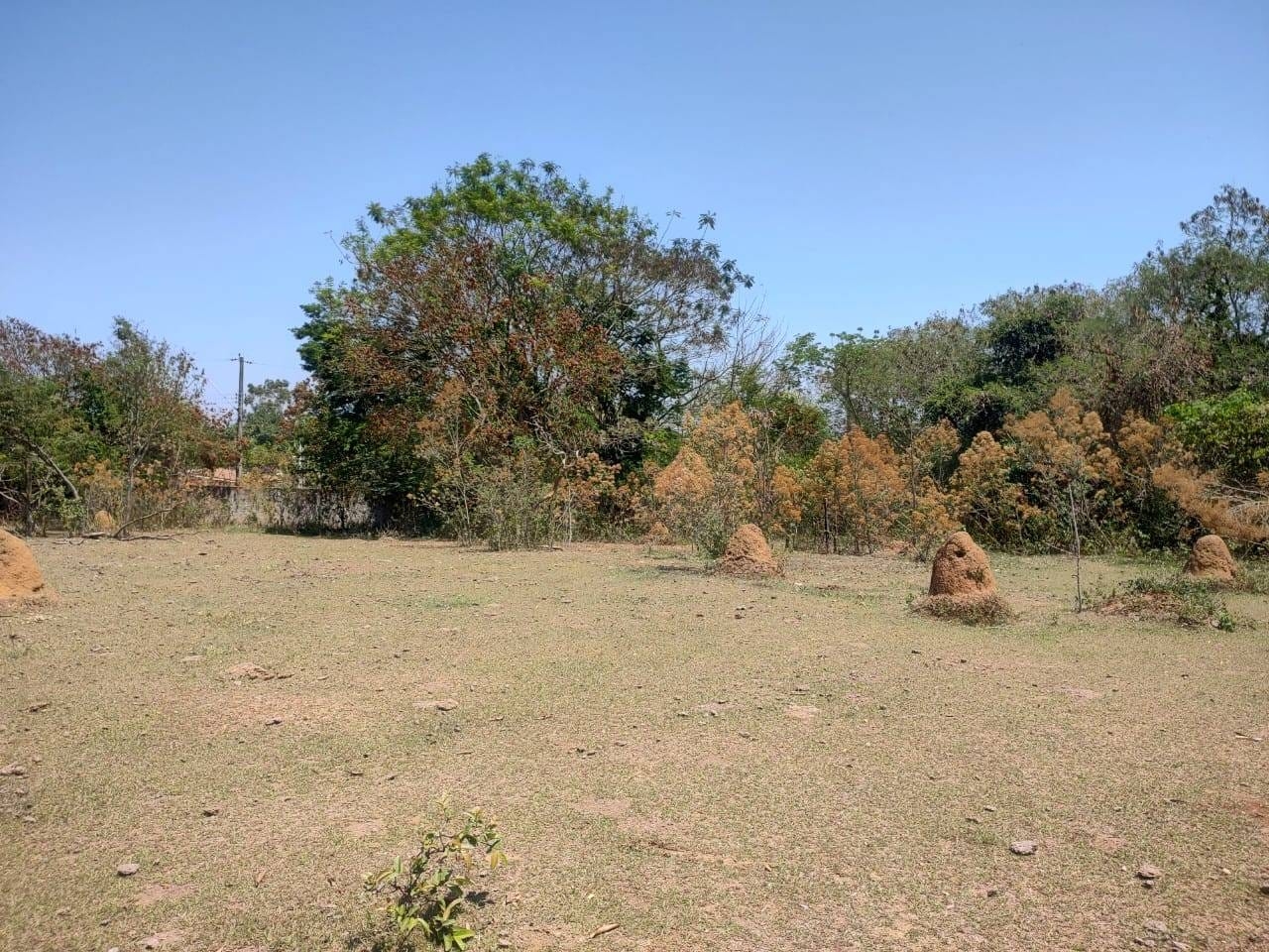 Terreno, 5140 m² - Foto 3