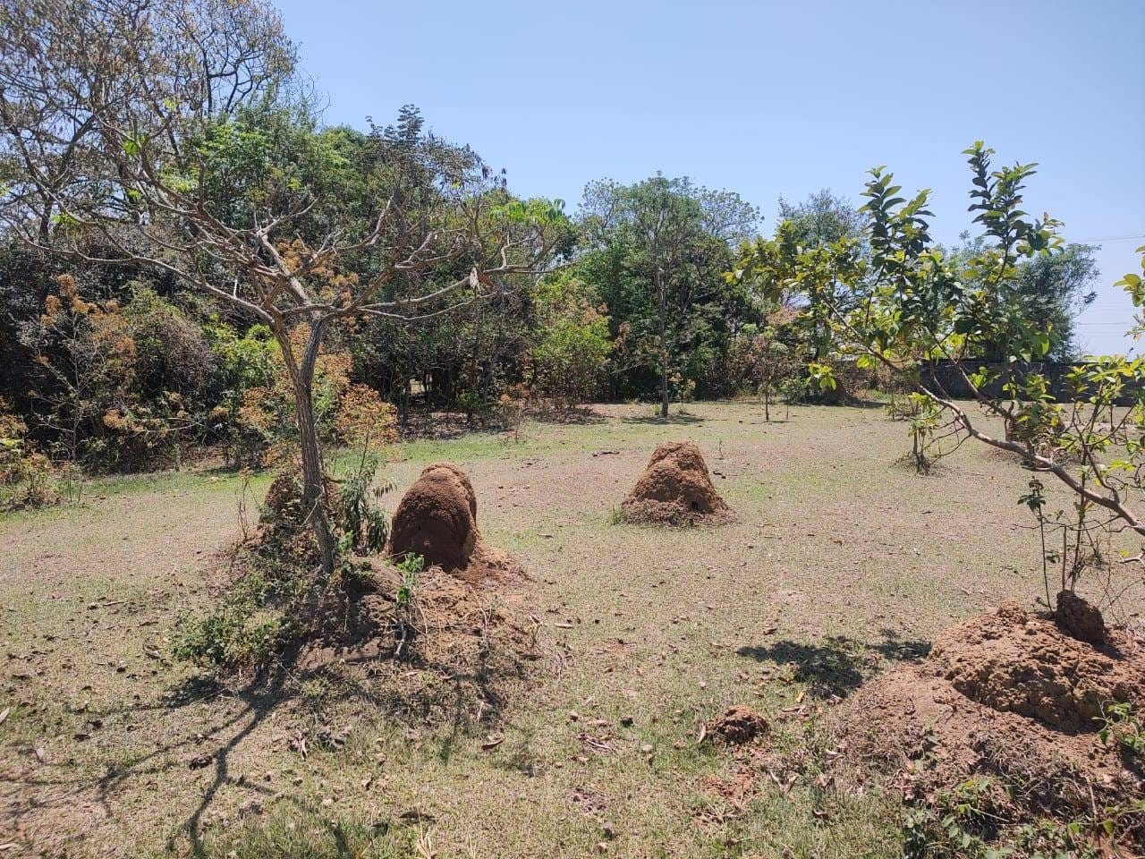 Terreno, 5140 m² - Foto 4