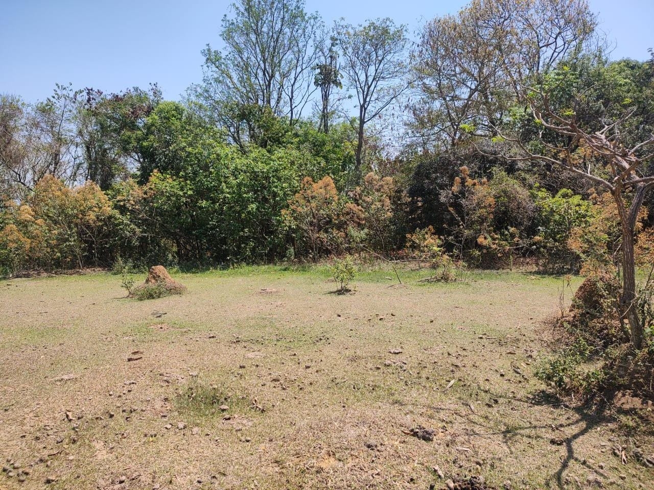 Terreno, 5140 m² - Foto 5