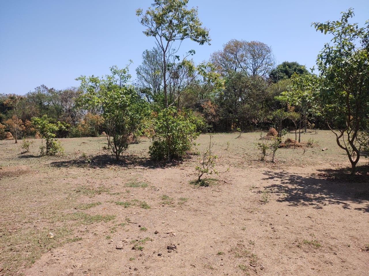 Terreno, 5140 m² - Foto 6