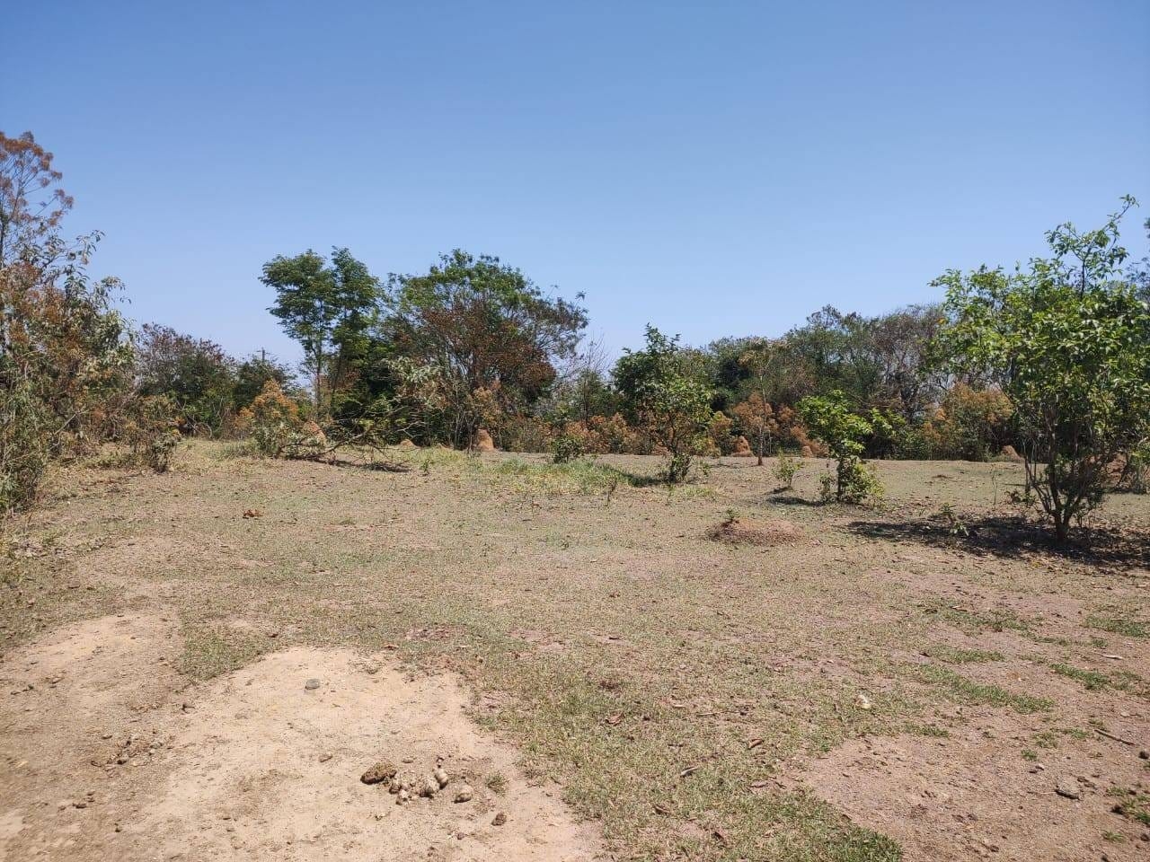 Terreno, 5140 m² - Foto 7