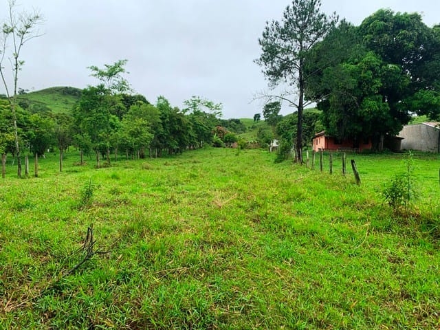 Chácara, 1 quarto, 1 hectares - Foto 2