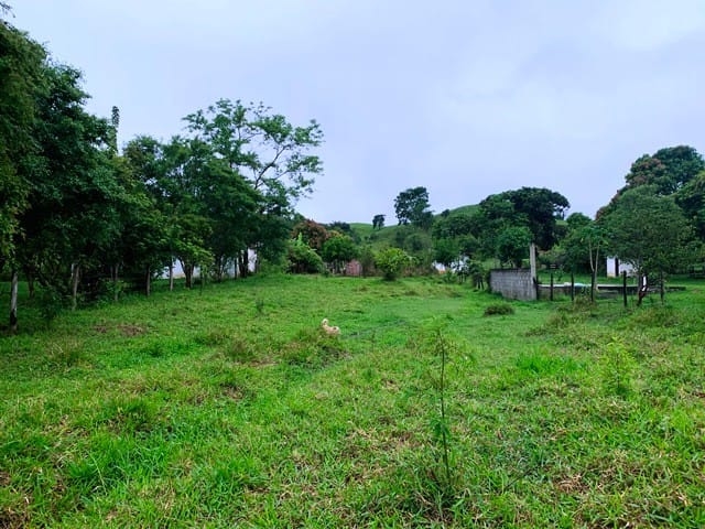 Chácara, 1 quarto, 1 hectares - Foto 3