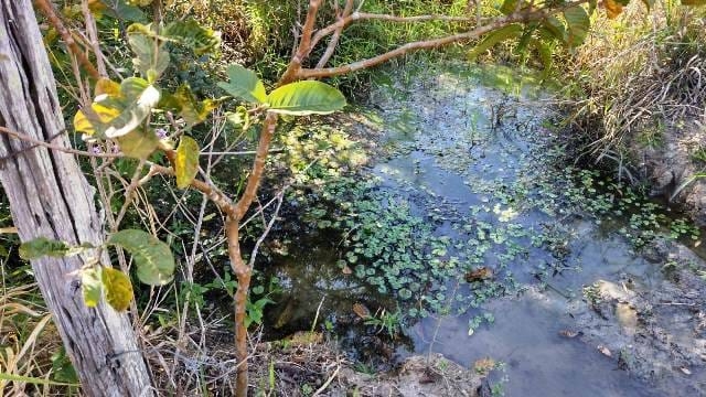 Chácara, 1 quarto, 1 hectares - Foto 8