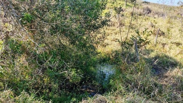 Chácara, 1 quarto, 1 hectares - Foto 9