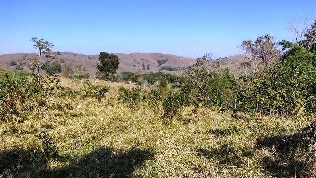 Chácara, 1 quarto, 1 hectares - Foto 10