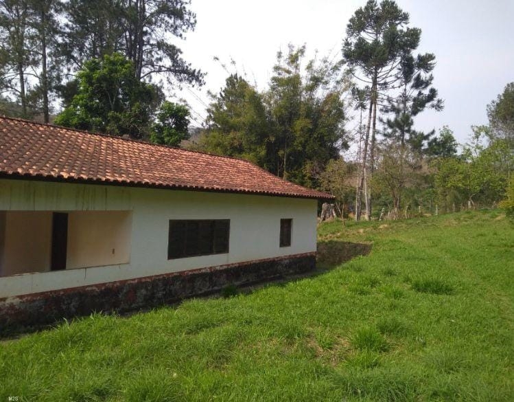 Chácara, 3 quartos, 6 hectares - Foto 8