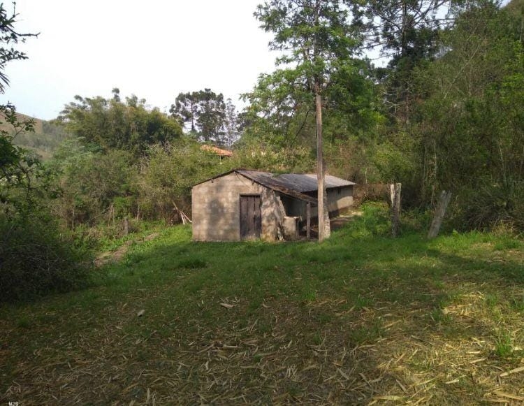 Chácara, 3 quartos, 6 hectares - Foto 11