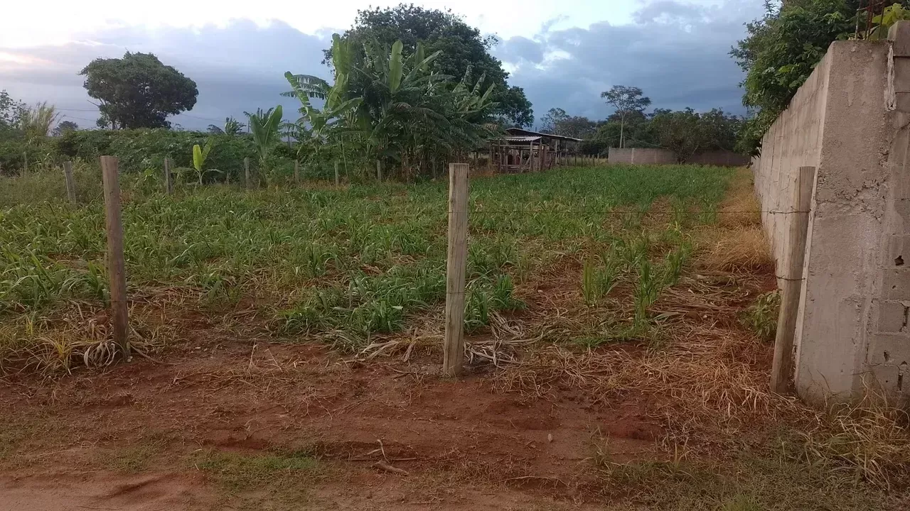 Terreno, 1000 m² - Foto 2