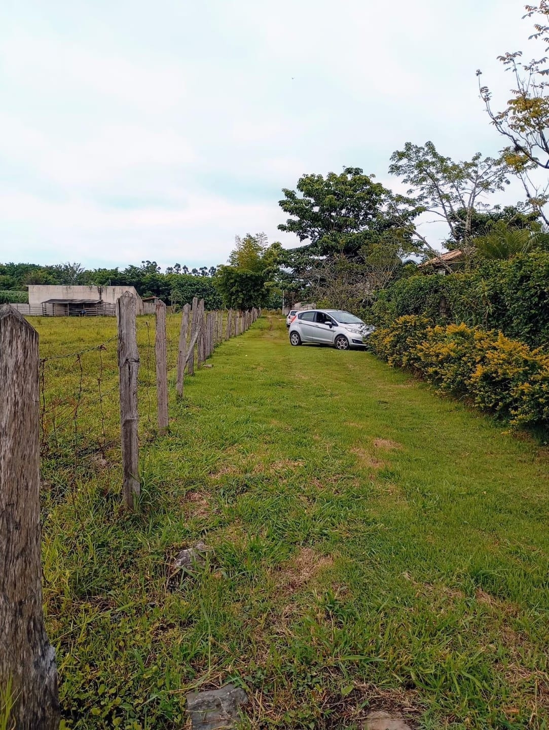 Terreno, 5000 m² - Foto 1