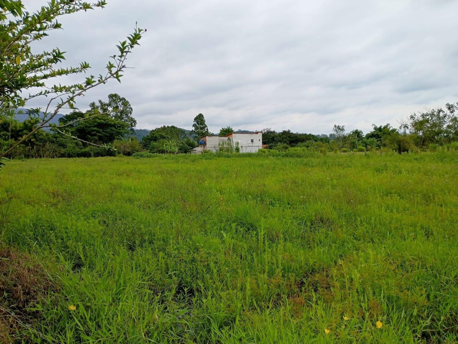 Terreno, 5000 m² - Foto 2