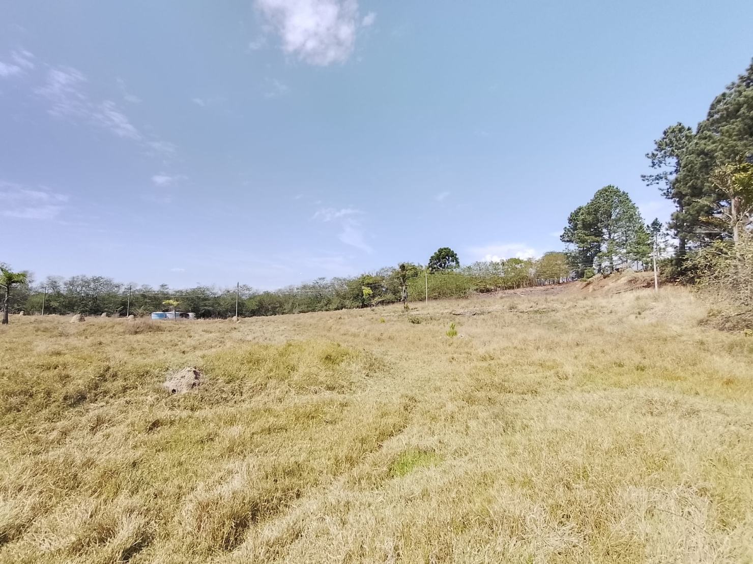 Prédio Inteiro, 2019 m² - Foto 42