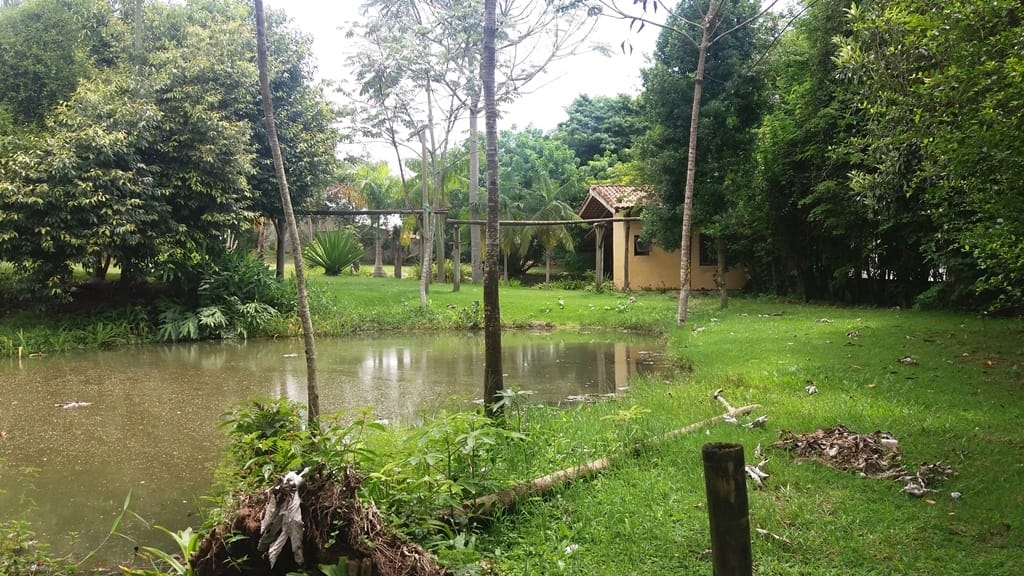 Prédio Inteiro, 1000 m² - Foto 46