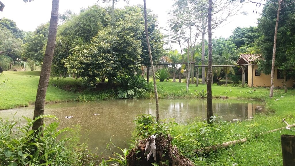 Prédio Inteiro, 1000 m² - Foto 47