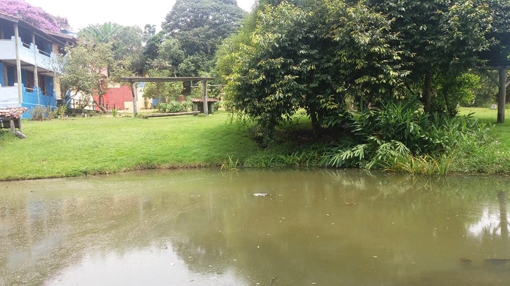 Prédio Inteiro, 1000 m² - Foto 48