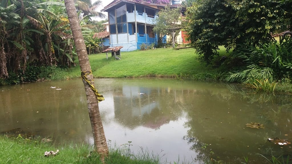 Prédio Inteiro, 1000 m² - Foto 51