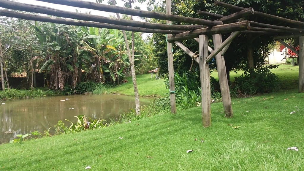 Prédio Inteiro, 1000 m² - Foto 52