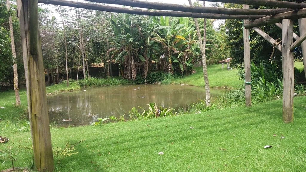 Prédio Inteiro, 1000 m² - Foto 53