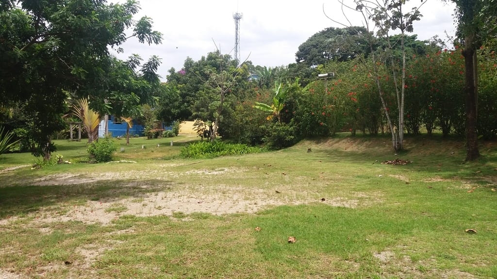 Prédio Inteiro, 1000 m² - Foto 59