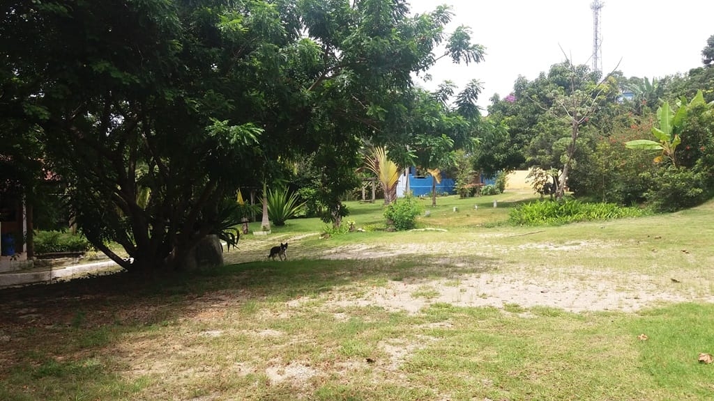 Prédio Inteiro, 1000 m² - Foto 60