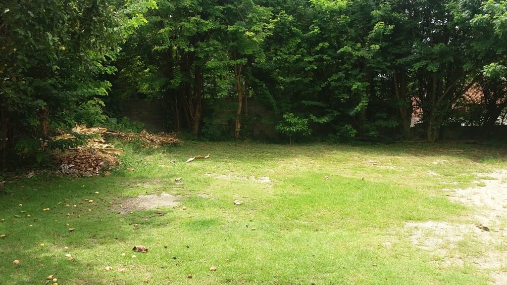 Prédio Inteiro, 1000 m² - Foto 61