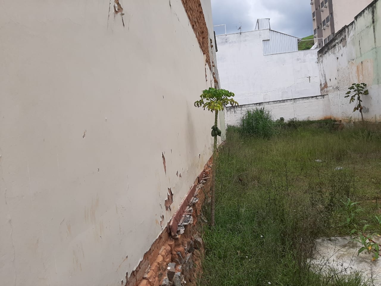 Depósito-Galpão - Foto 3