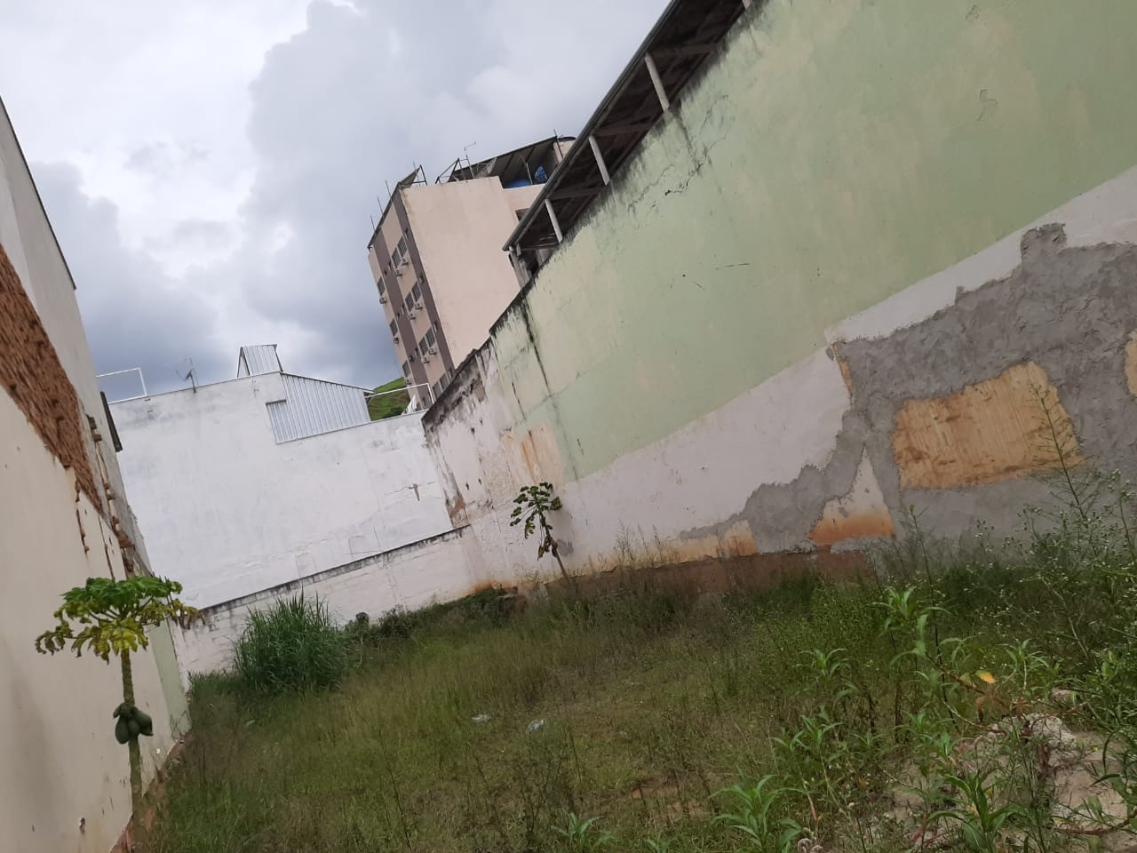 Depósito-Galpão - Foto 4